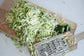 Carrot Slicer＆スパイスセット【送料無料】